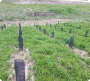 Extraction de sable siliceux Fulchiron